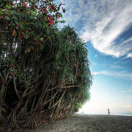 Central Inn Senggigi Exteriér fotografie