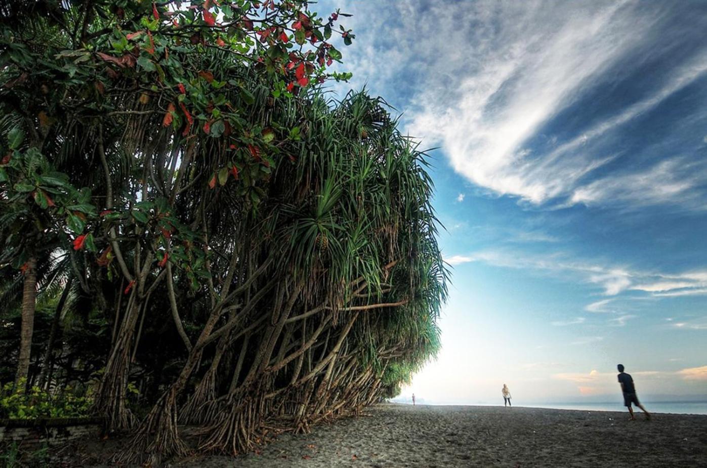 Central Inn Senggigi Exteriér fotografie